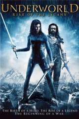 Underworld: Rise of the Lycans poster 8