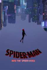 Spider-Man: Into the Spider-Verse poster 12