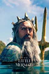 The Little Mermaid poster 7