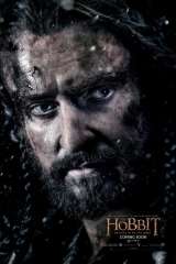 The Hobbit: The Battle of the Five Armies poster 23
