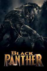 Black Panther poster 14