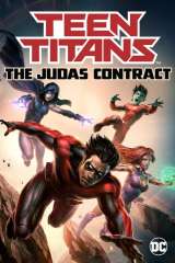 Teen Titans: The Judas Contract poster 6