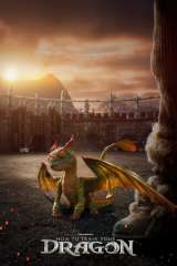 How to Train Your Dragon poster 15