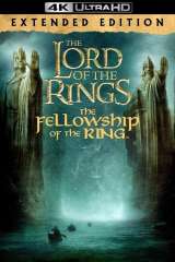 The Lord of the Rings: The Fellowship of the Ring poster 14