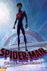 Spider-Man: Across the Spider-Verse poster 19