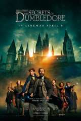 Fantastic Beasts: The Secrets of Dumbledore poster 9
