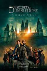 Fantastic Beasts: The Secrets of Dumbledore poster 9
