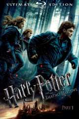 Harry Potter and the Deathly Hallows: Part 1 poster 6