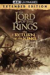 The Lord of the Rings: The Return of the King poster 12
