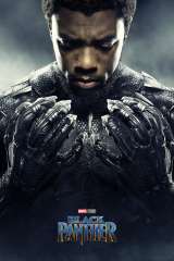 Black Panther poster 30