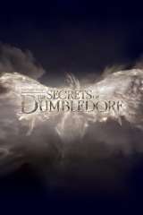 Fantastic Beasts: The Secrets of Dumbledore poster 26