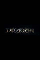 How to Train Your Dragon poster 29