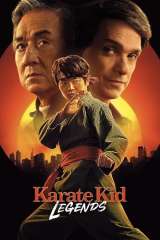 Karate Kid: Legends poster 32