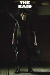 The Raid (2012)
