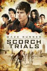 Maze Runner: The Scorch Trials poster 17