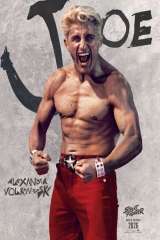 Street Fighter poster 11