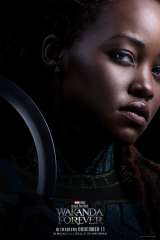 Black Panther: Wakanda Forever poster 12