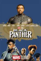 Black Panther (2018)