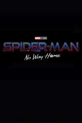 Spider-Man: No Way Home poster 23