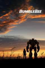 Bumblebee poster 9