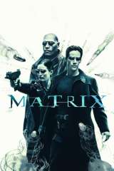 The Matrix poster 44