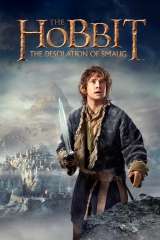 The Hobbit: The Desolation of Smaug poster 38