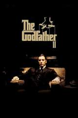 The Godfather: Part II poster 8