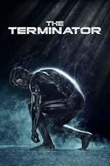The Terminator poster 17