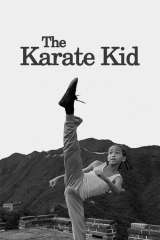The Karate Kid (2010)