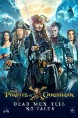 Pirates of the Caribbean: Dead Men Tell No Tales poster 49