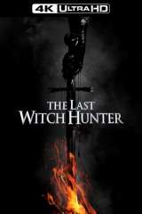 The Last Witch Hunter (2015)