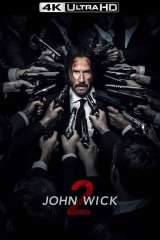 John Wick: Chapter 2 (2017)