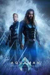 Aquaman and the Lost Kingdom poster 8