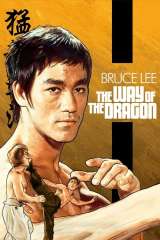The Way of the Dragon poster 27