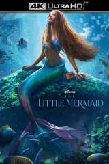 The Little Mermaid poster 12