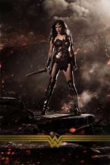 Wonder Woman poster 38