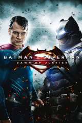 Batman v Superman: Dawn of Justice poster 8
