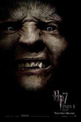 Harry Potter and the Deathly Hallows: Part 1 poster 18