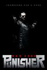 Punisher: War Zone poster 2