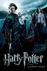 Harry Potter and the Goblet of Fire poster 28