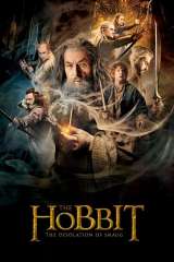 The Hobbit: The Desolation of Smaug poster 15
