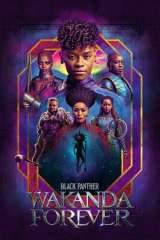 Black Panther: Wakanda Forever (2022)