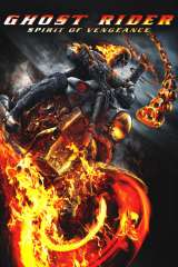 Ghost Rider: Spirit of Vengeance poster 13