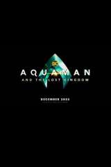 Aquaman and the Lost Kingdom poster 3
