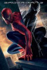 Spider-Man 3 poster 13