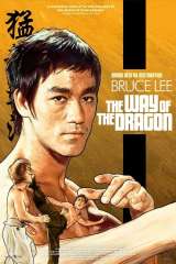 The Way of the Dragon poster 10