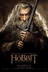 The Hobbit: The Desolation of Smaug poster 23