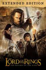 The Lord of the Rings: The Return of the King poster 11