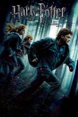 Harry Potter and the Deathly Hallows: Part 1 poster 23