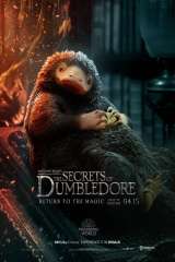 Fantastic Beasts: The Secrets of Dumbledore poster 18